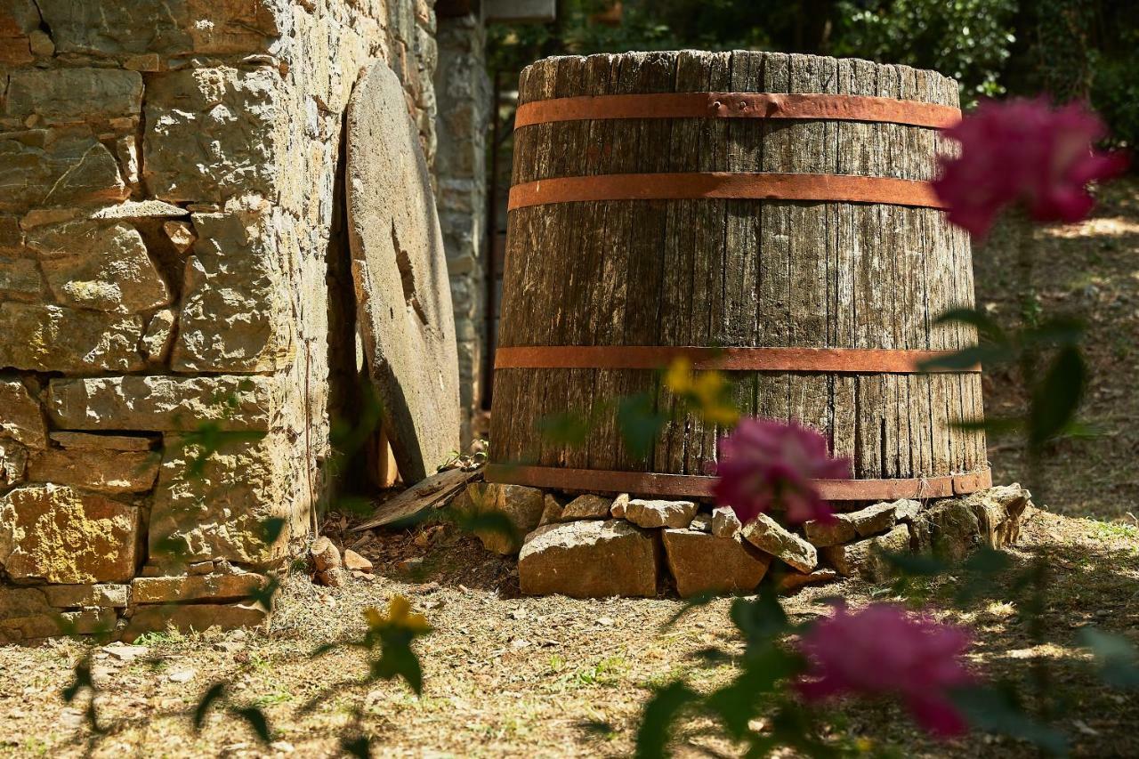 La Loggetta - Chianti Apartments Gaiole in Chianti Εξωτερικό φωτογραφία